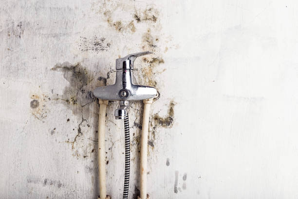 Best Mold Cleaning Services  in Coppell, TX