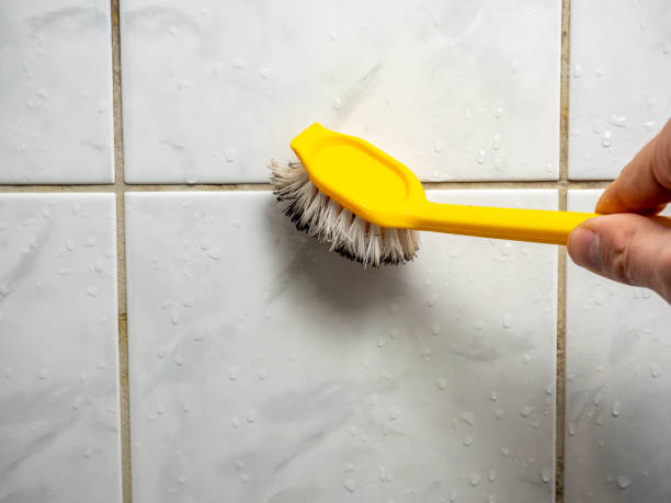 Best Commercial Mold Removal  in Coppell, TX