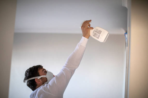 Best Crawl Space Mold Removal  in Coppell, TX