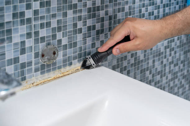 Best Mold Removal Process  in Coppell, TX