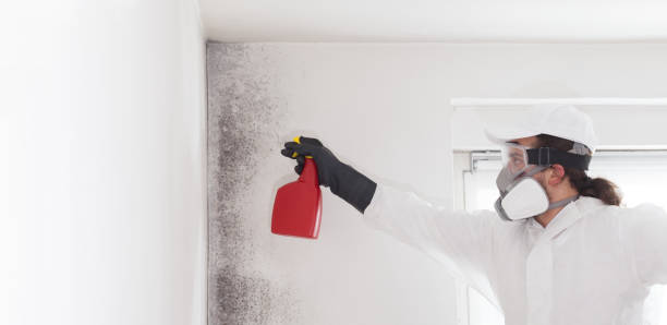 Best Fast Mold Removal  in Coppell, TX