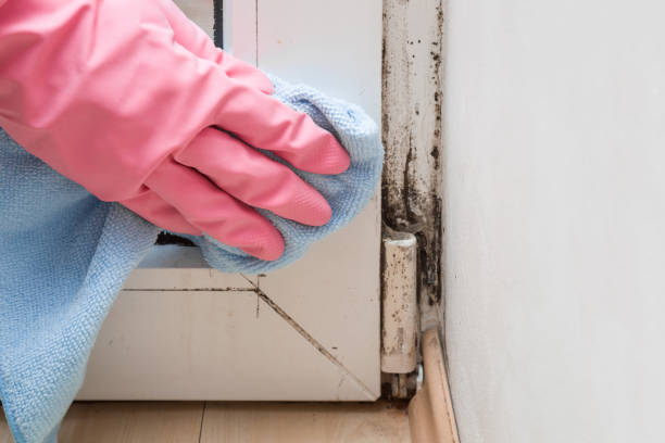 Water Damage Restoration in Coppell, TX
