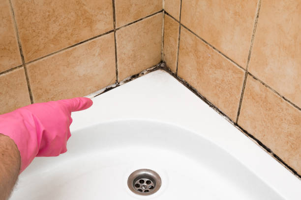 Best Home Mold Removal  in Coppell, TX